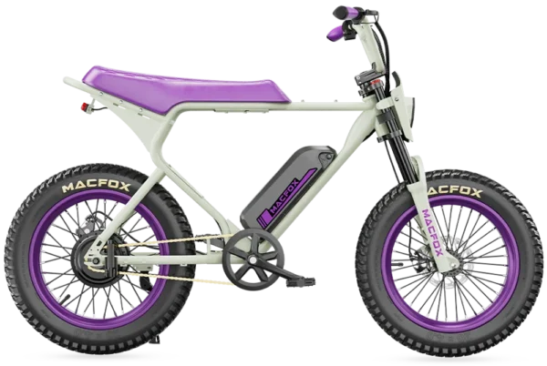 X1S JAY PURPLE