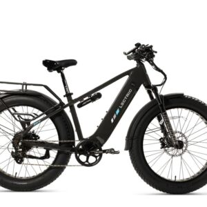 LECTRIC X PEAK 2 750W