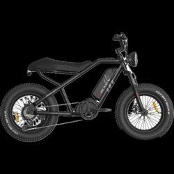 raev bullet